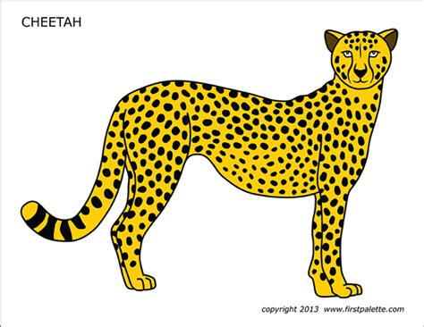 cheetah prinr|free printable cheetah pictures.